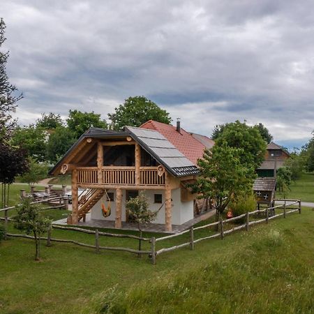 Holiday Home Virida, App Leopold III Ivancna Gorica Exterior foto